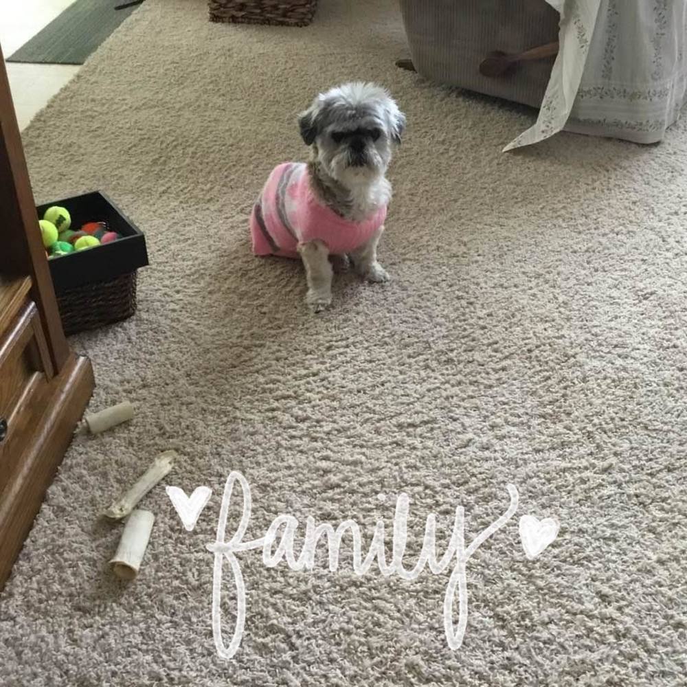 Meet your Posher, Missy